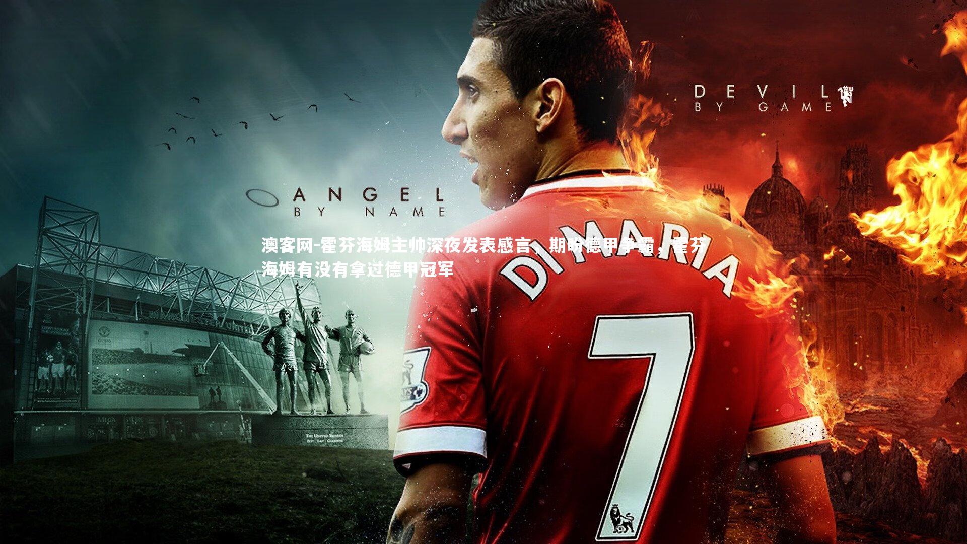 霍芬海姆主帅深夜发表感言，期盼德甲争霸，霍芬海姆有没有拿过德甲冠军