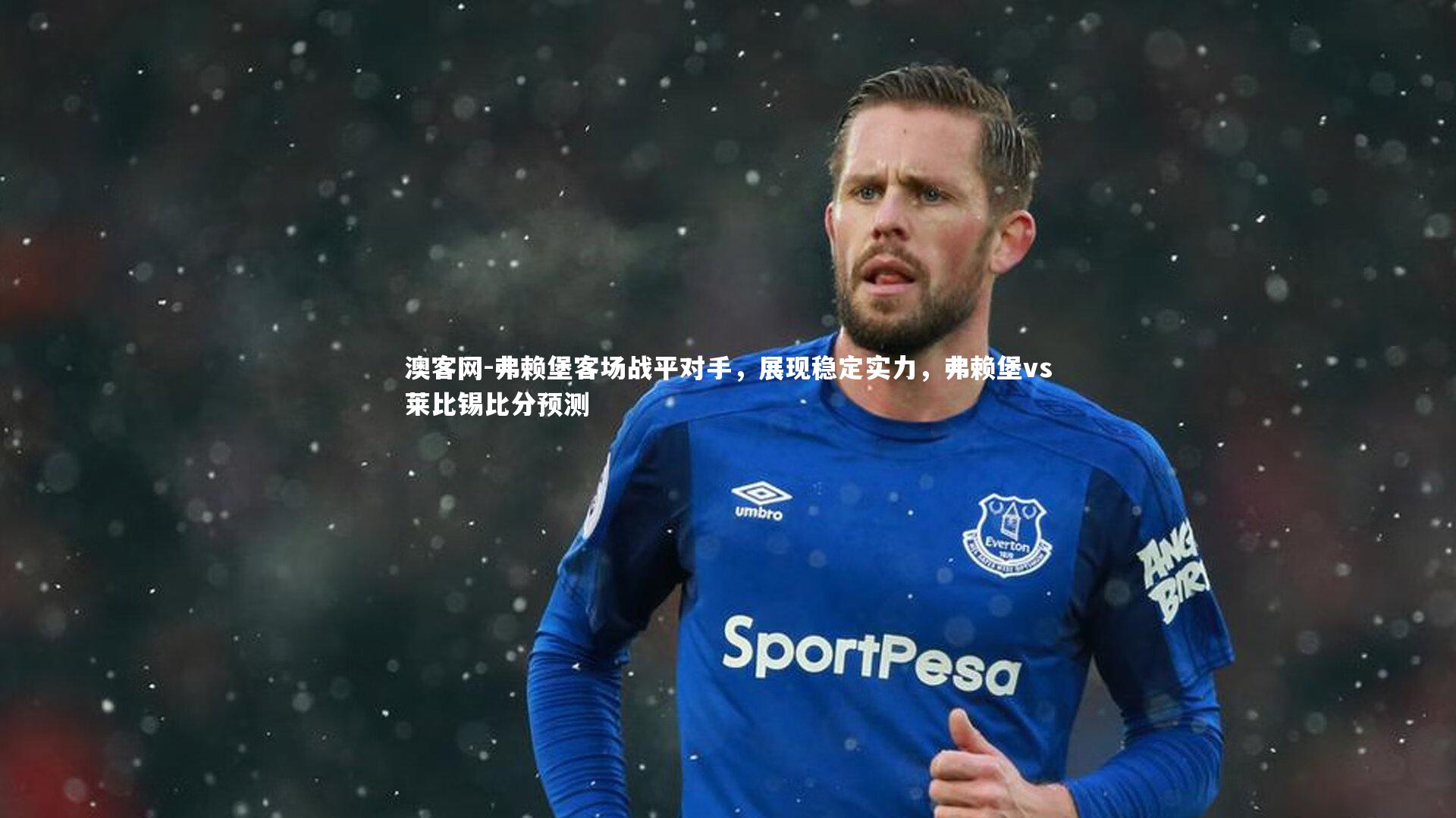 弗赖堡客场战平对手，展现稳定实力，弗赖堡vs莱比锡比分预测