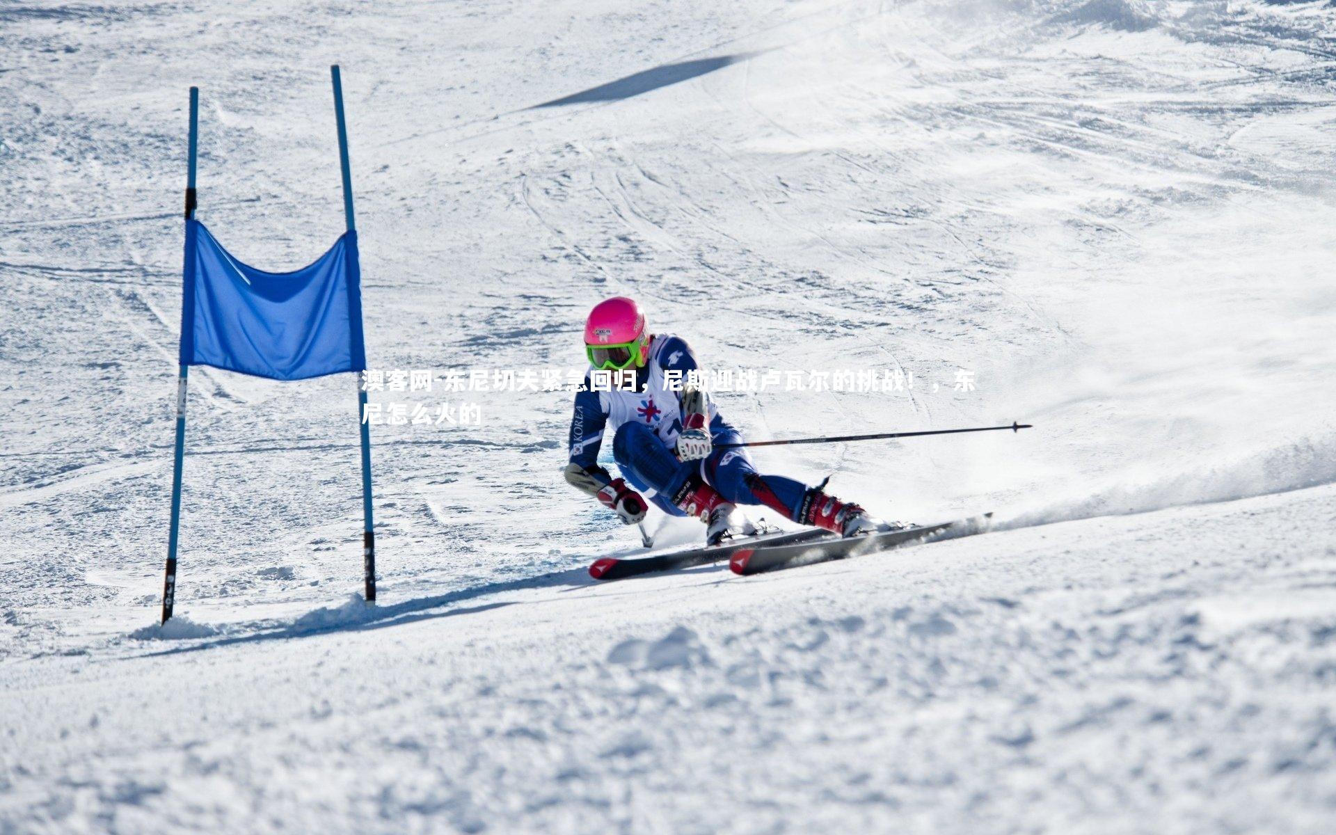 东尼切夫紧急回归,尼斯迎战卢瓦尔的挑战!,东尼怎么火的